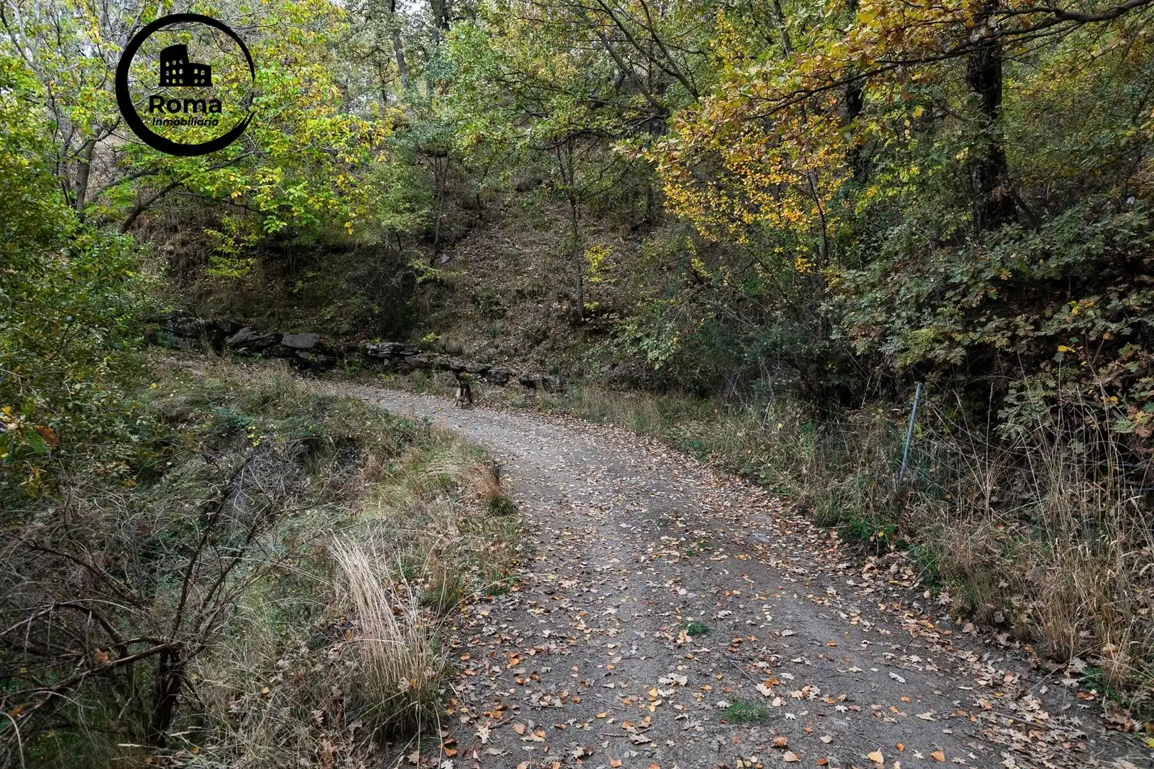 Lands and plots for sale in Güéjar Sierra, imagen 18