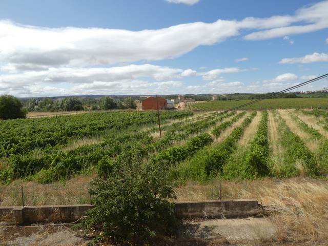 Nave industrial en Venta en Lerma