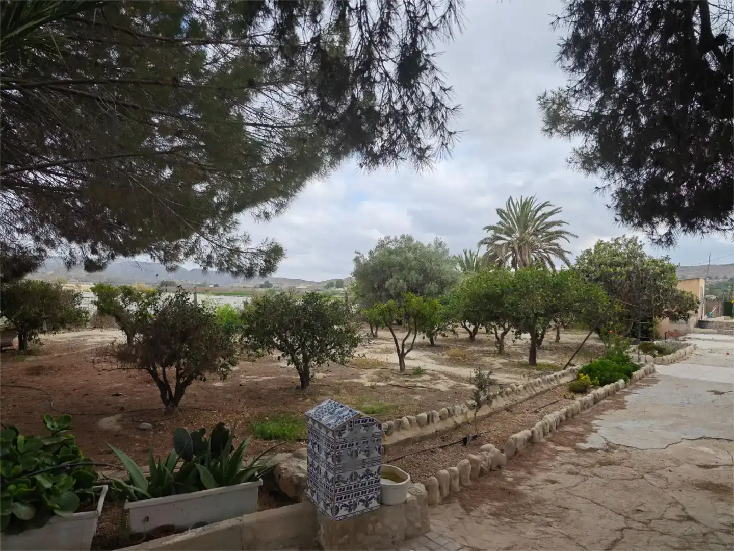 Jardí de Finca rústica en venda en Novelda amb Aire condicionat i Piscina