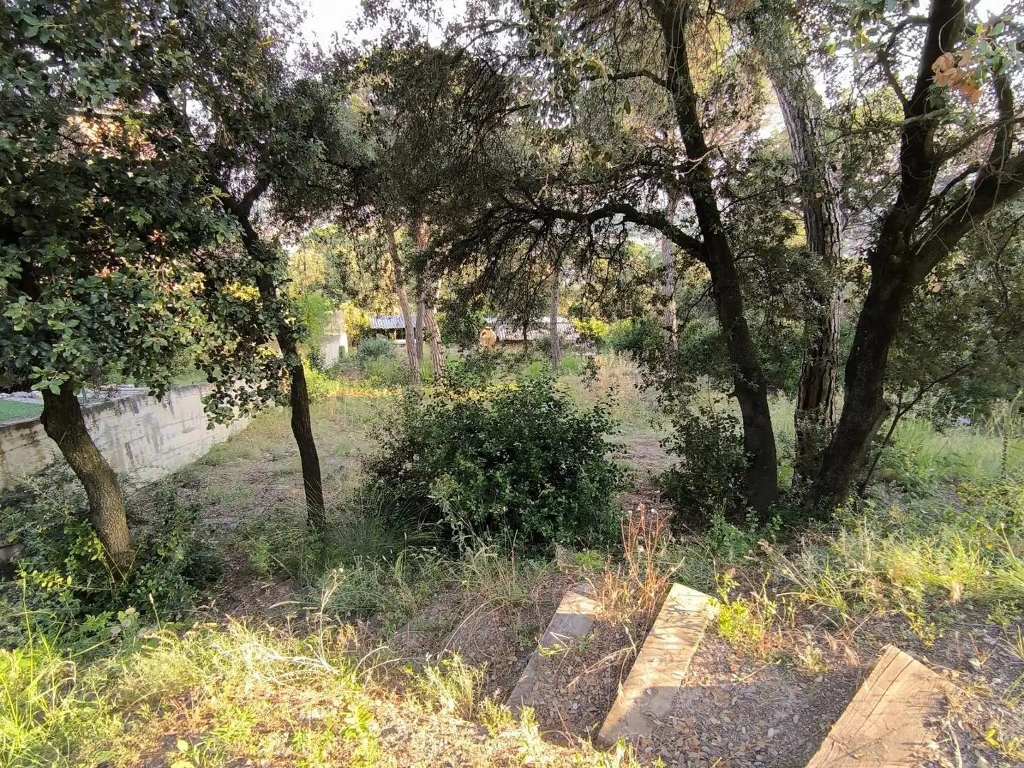 Lands and plots for sale in Bigues i Riells del Fai, imagen 5