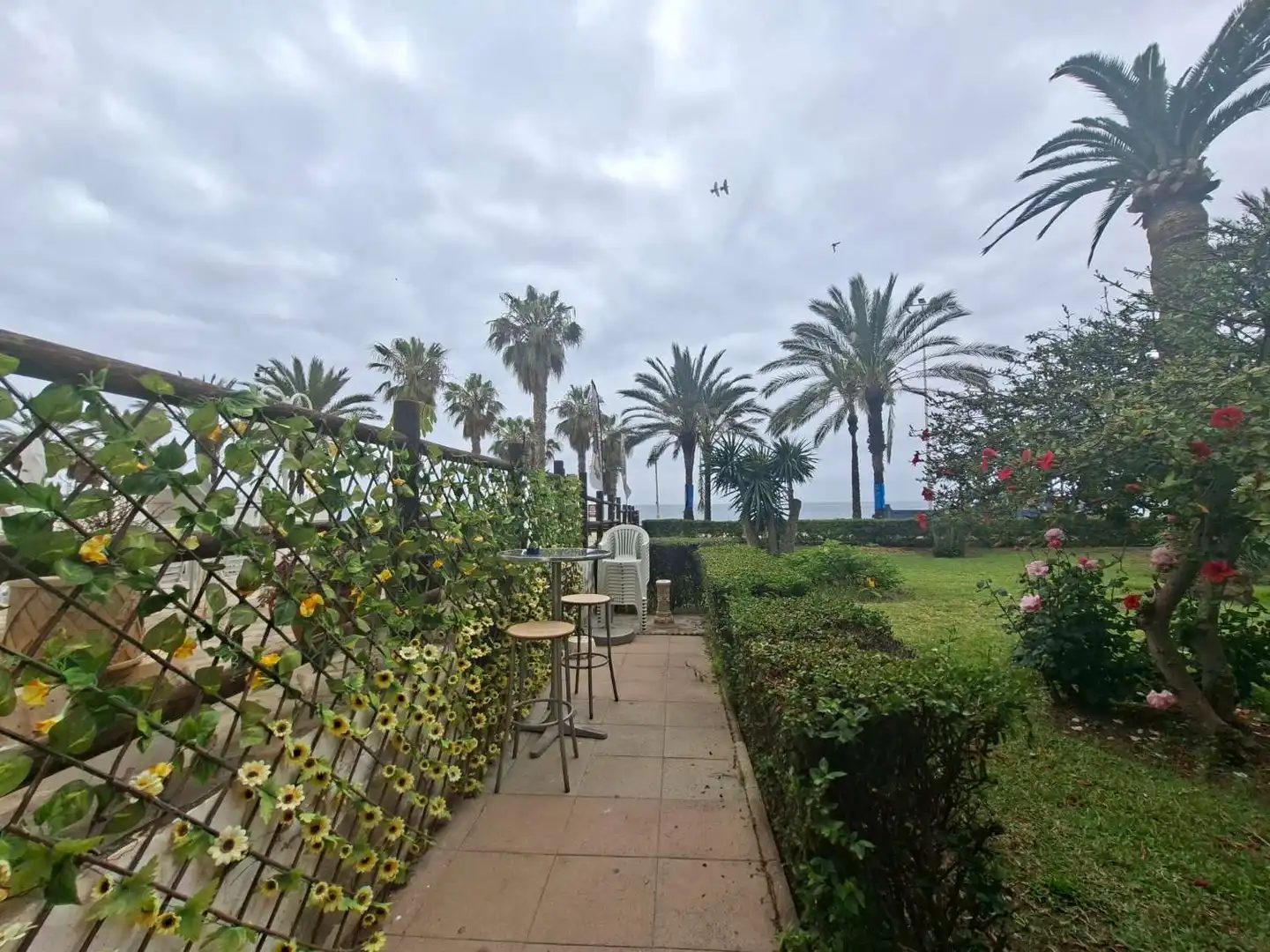 Garten von Geschaftsraum zur Miete in Algarrobo mit Möbliert