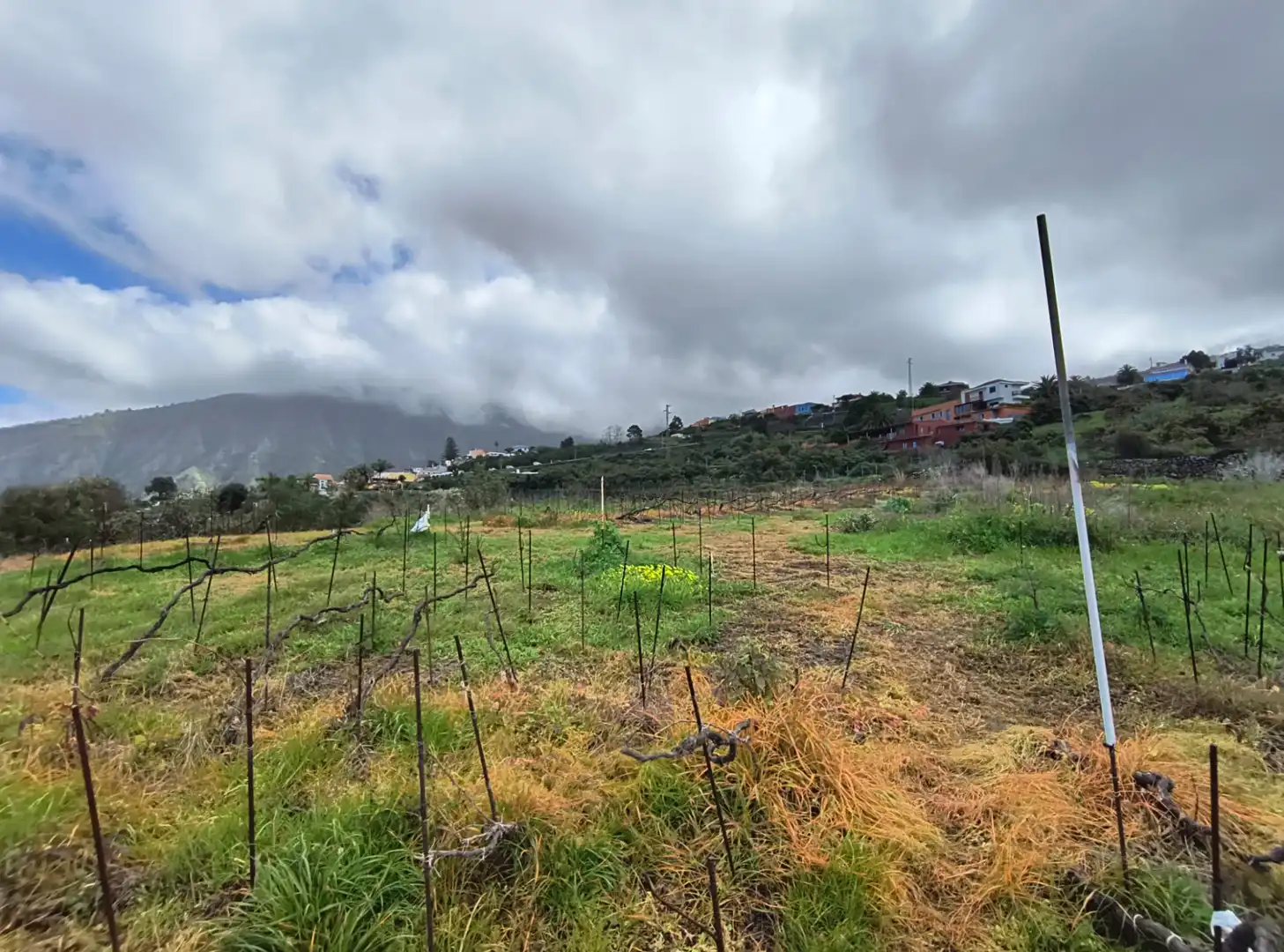 Houses for sale in La Orotava  with Private garden, Terrace and Storage room