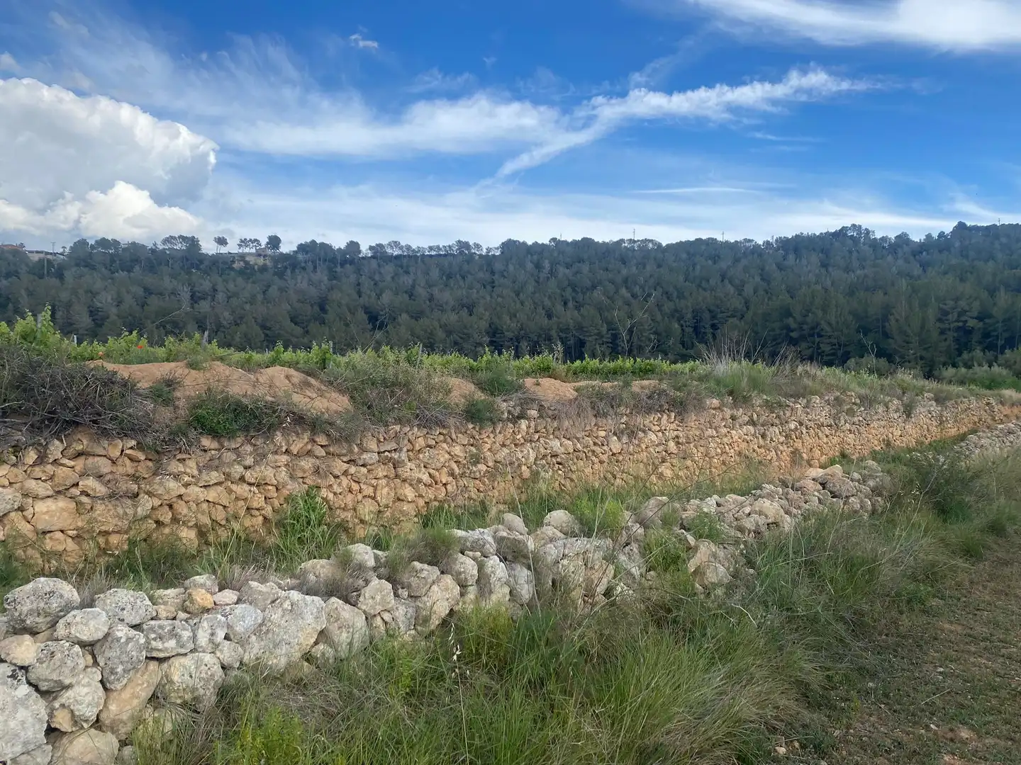 Terreno rustico in vendita a Perafort, imagen 3