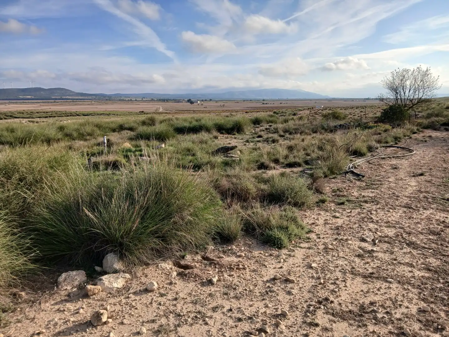 Residential land for sale in Yecla, imagen 4