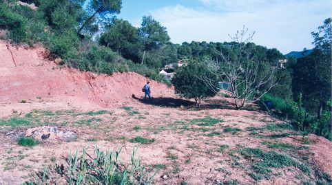 Parcella edificable de 946 m2., immagine 2