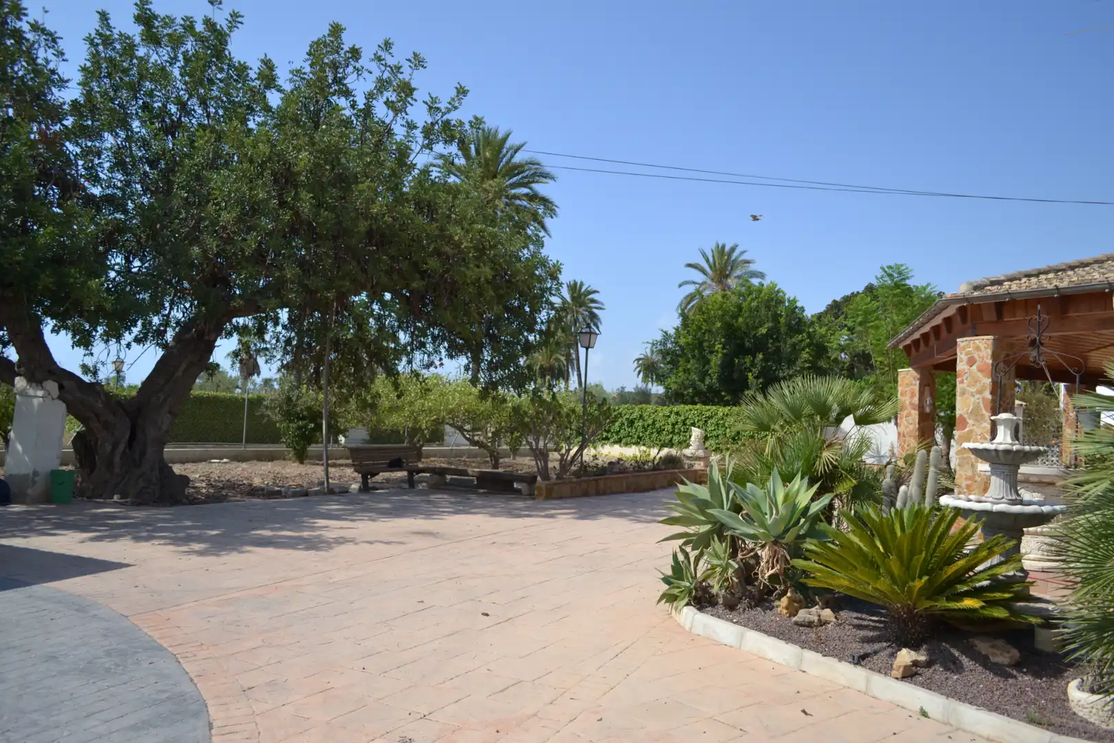 Jardín de Casa o chalet de alquiler en Elche ciudad
