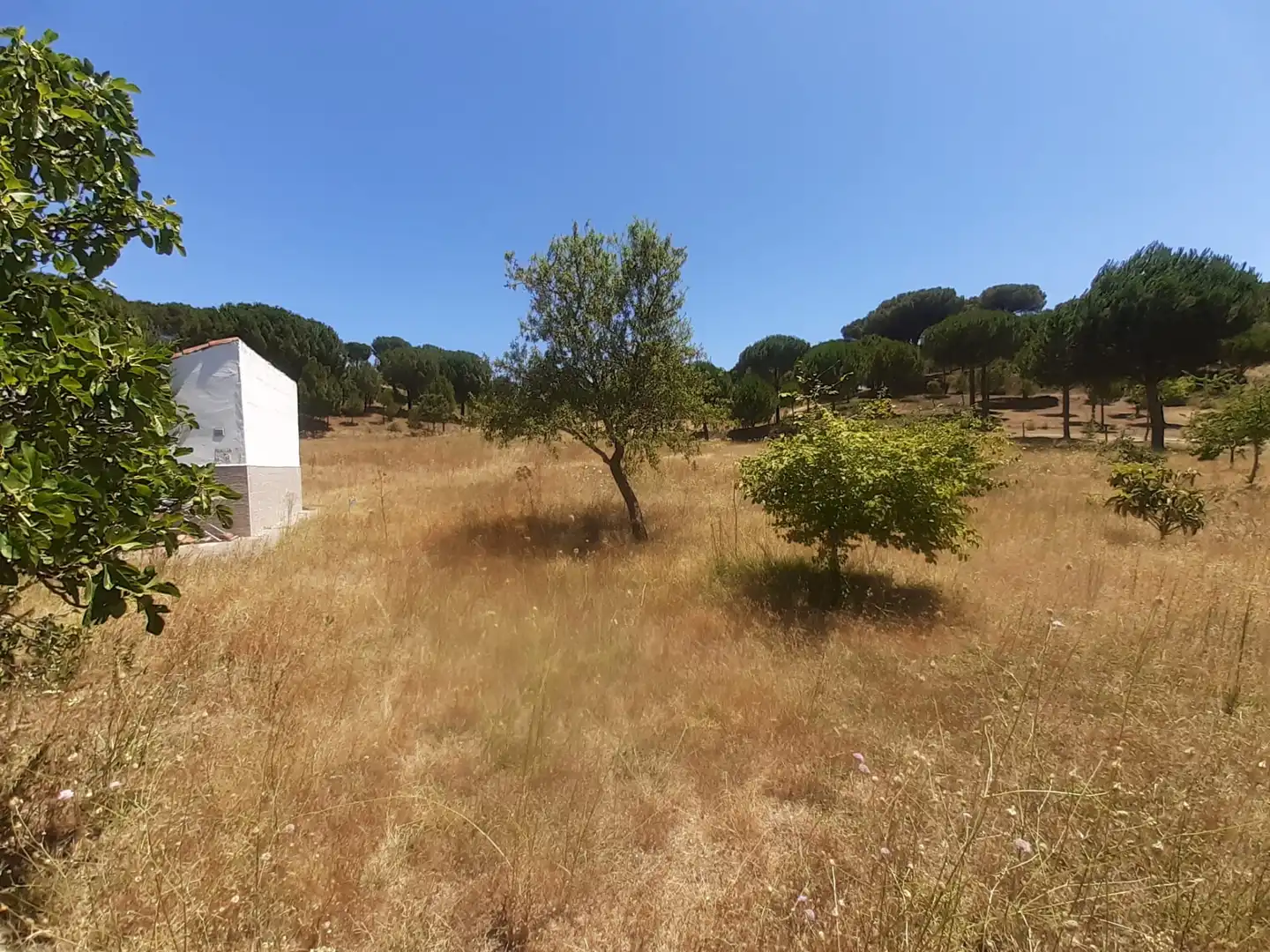 Terreno en venta en La Hiniesta 