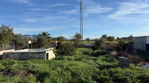 Foto 3 de Residencial en venda a Carrer Alfabaguera, Es Garrovers, Marratxí