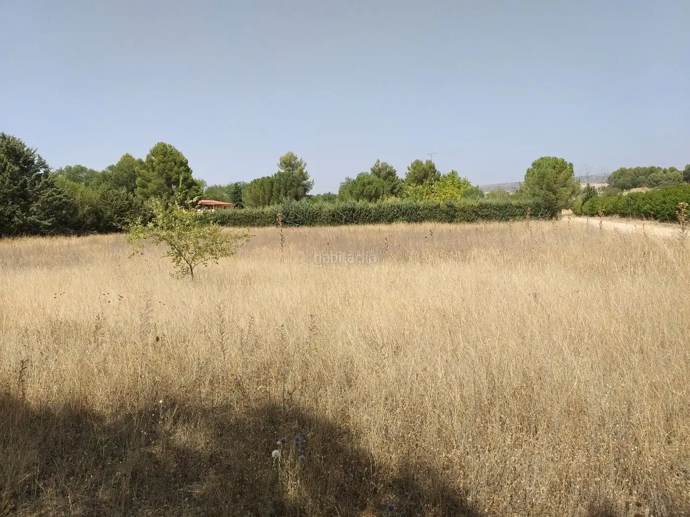 Terreni e lotti in vendita a Camino del Aguacate 40, imagen 4