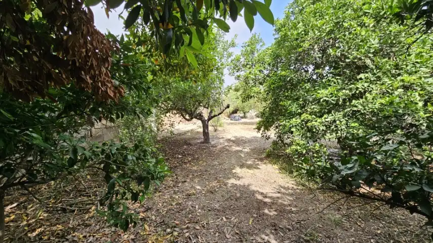 Casa o chalet en venta en Molina de Segura con Aire acondicionado, Jardín privado y Terraza
