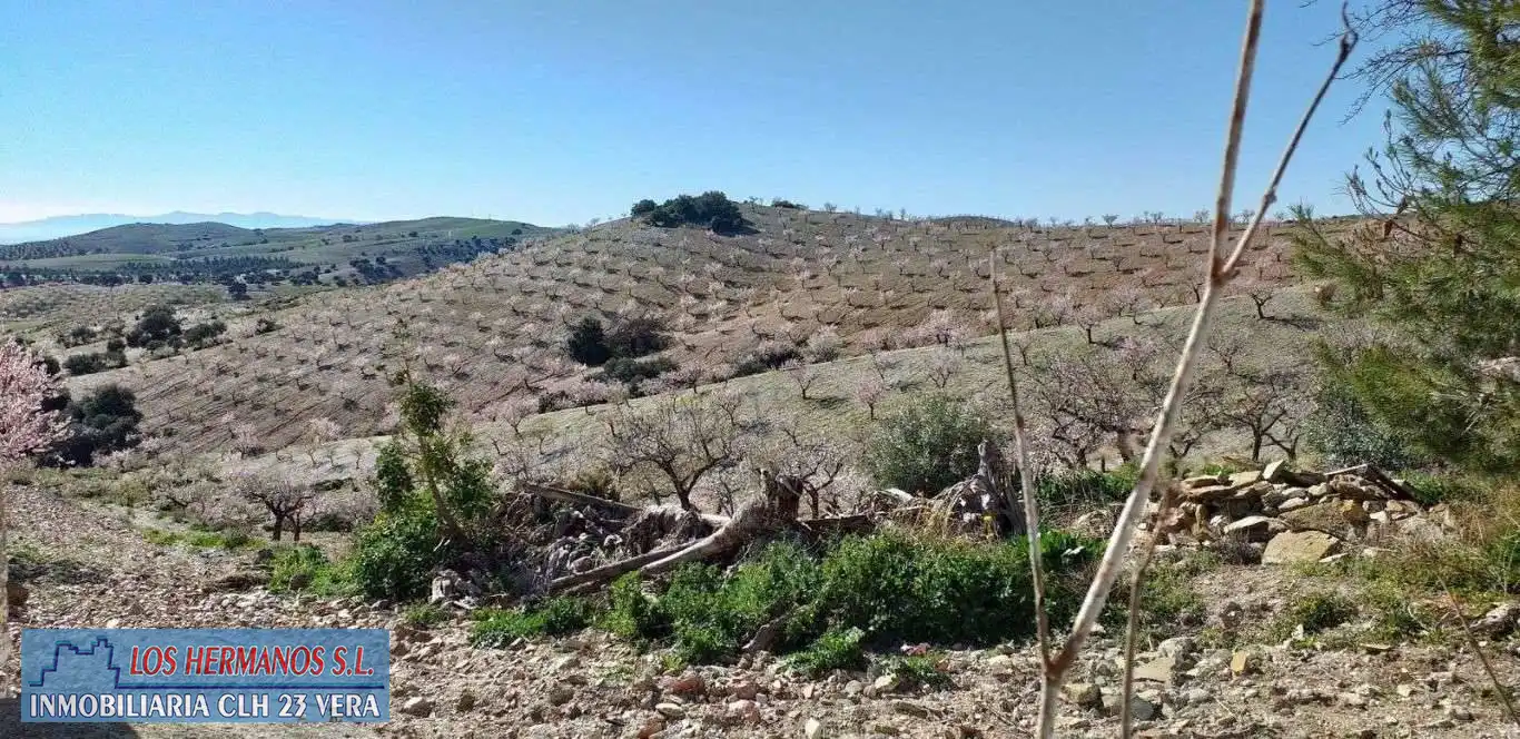 Finca rústica en venta en Vélez-Rubio