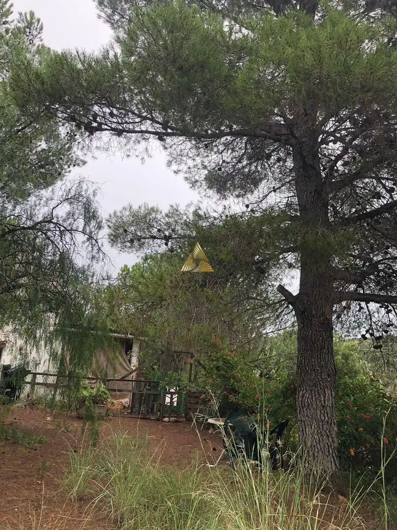 Lands and plots for sale in Las Atalayas - Urmi - Cerro de Mar, imagen 35