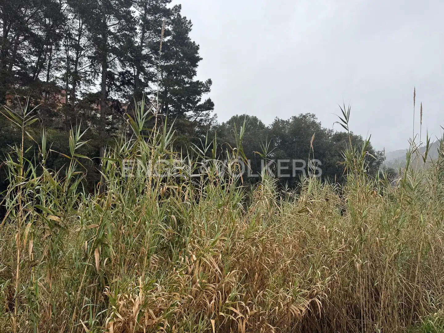 Terreno residencial en venta en Sant Iscle de Vallalta, imagen 10