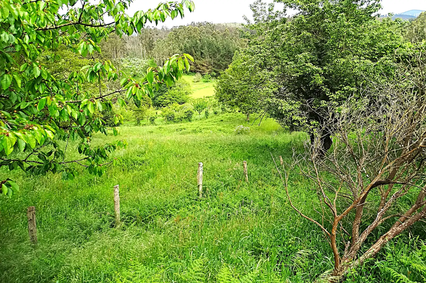 Finca rústica en venda en Ourol amb Calefacció, Jardí privat i Parquet