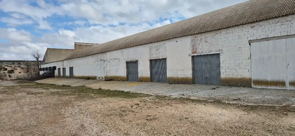 Vista exterior de Nave industrial en venta en La Gineta
