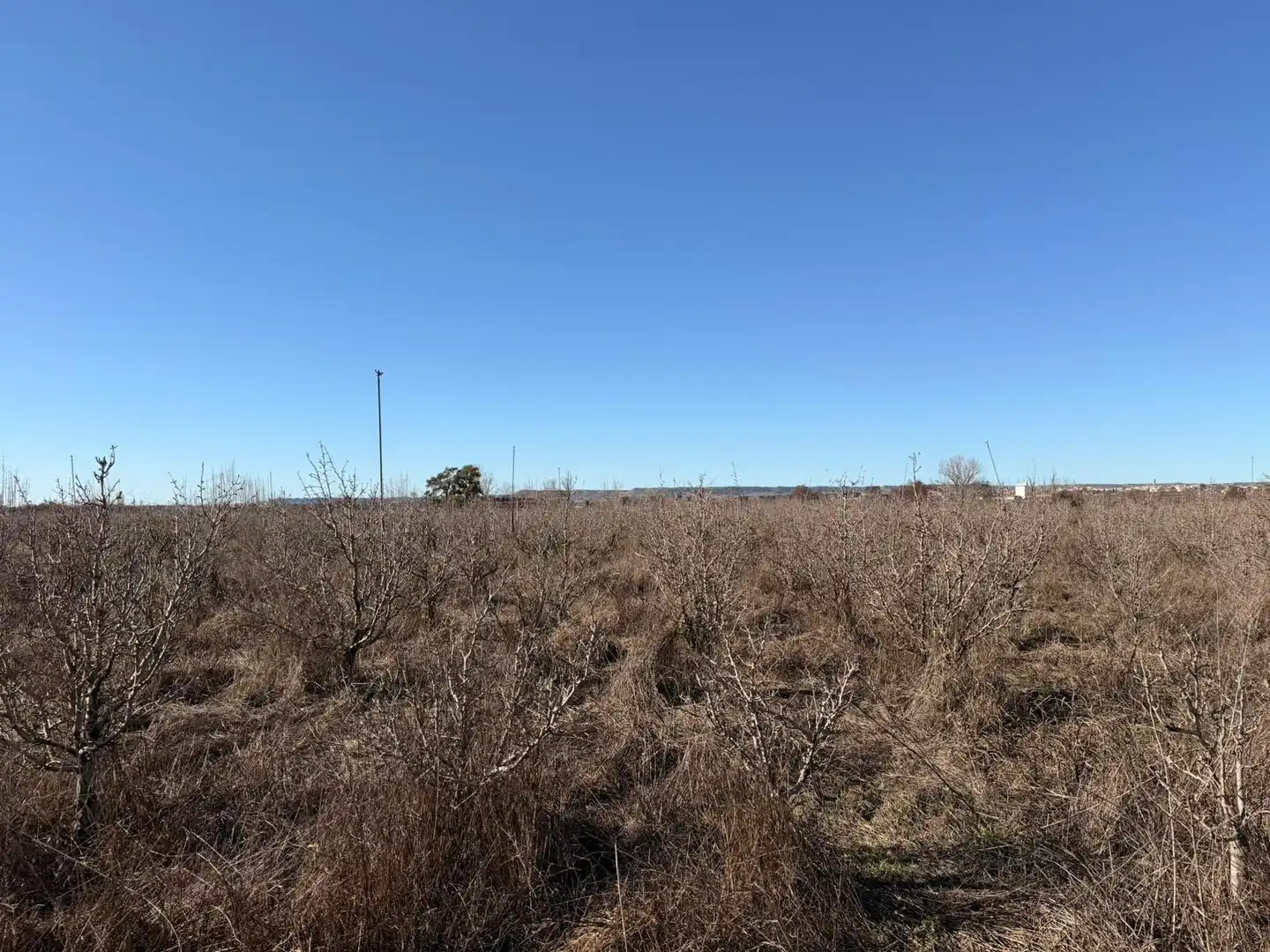 Terreno rustico in vendita a Corbins, imagen 6