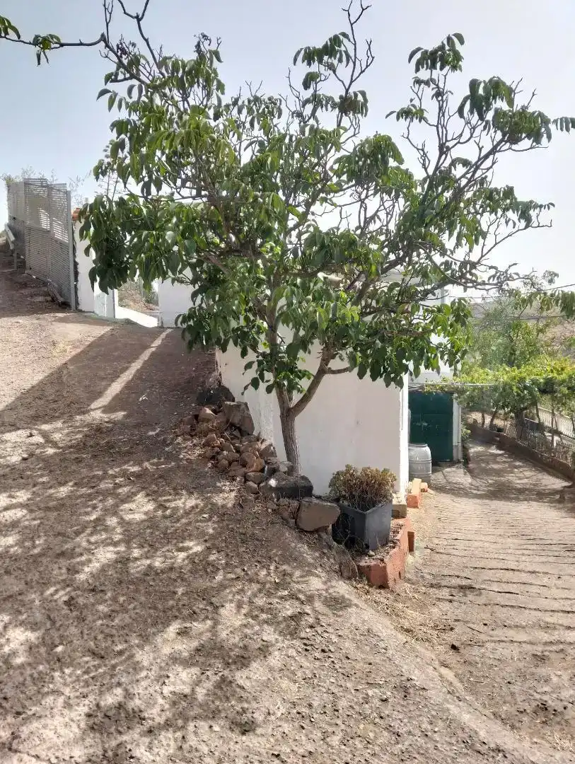 Casa adosada en venda en Vega de San Mateo amb Jardí privat, Piscina i Microones