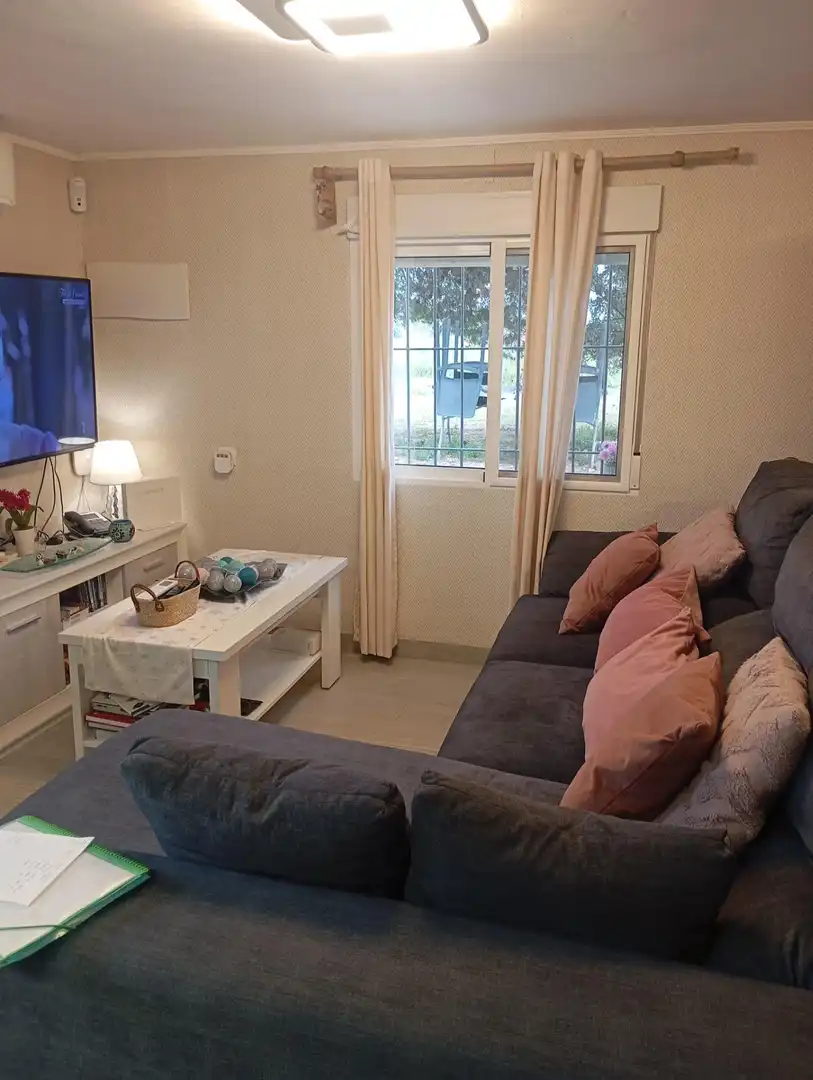 Living room of Residential for sale in San Vicente del Raspeig / Sant Vicent del Raspeig