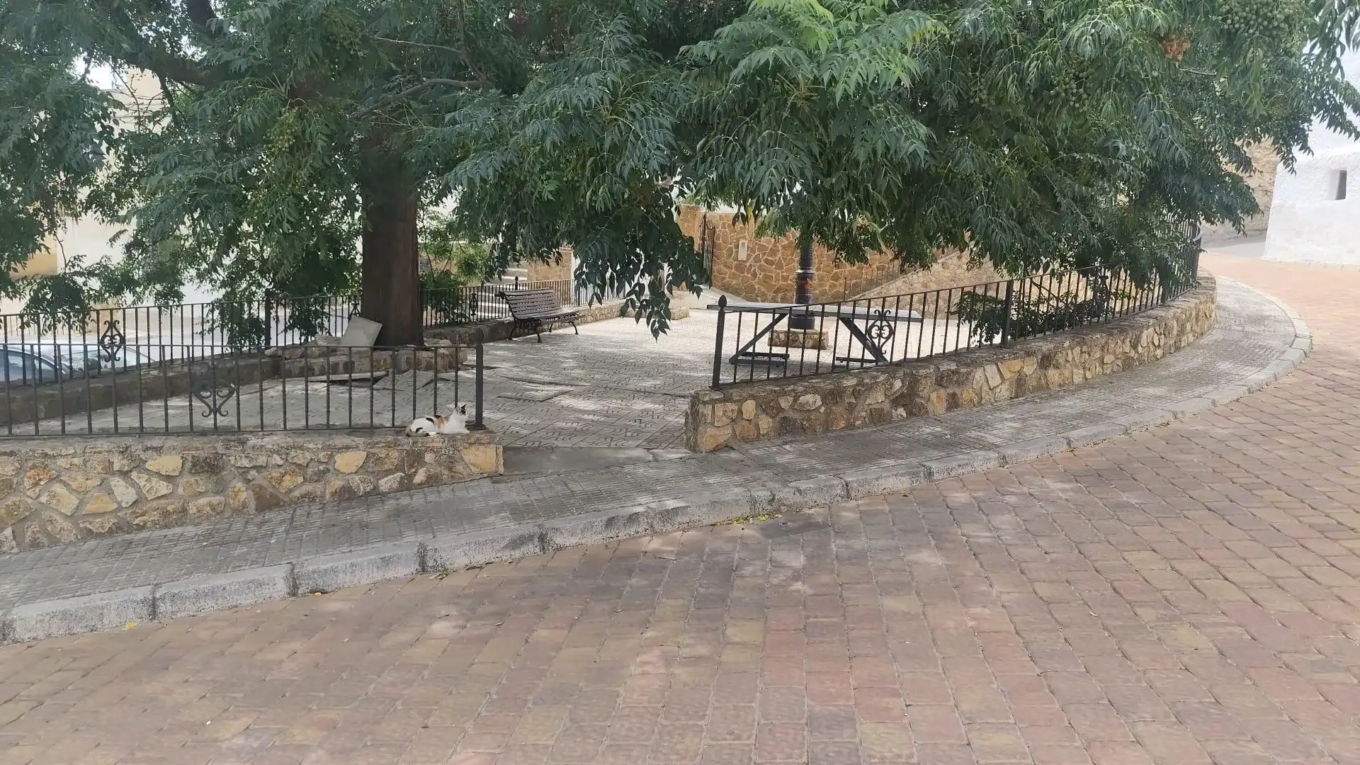 Lands and plots for sale in Oria, imagen 12