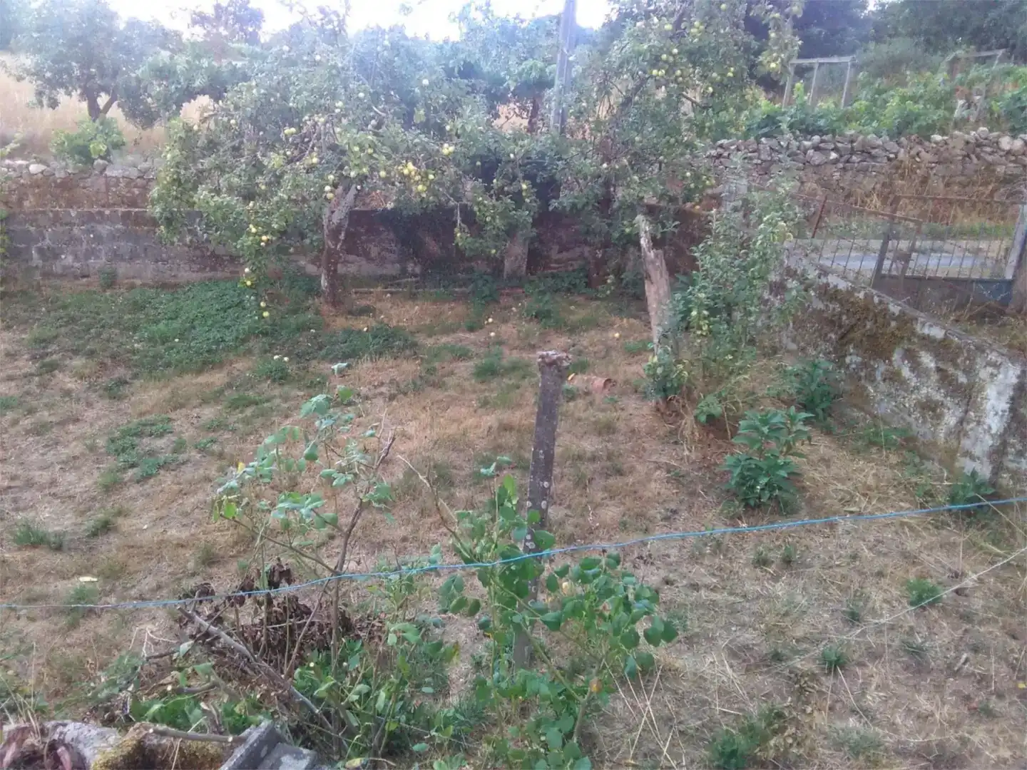 Casa o chalet en venta en Sober con Jardín privado
