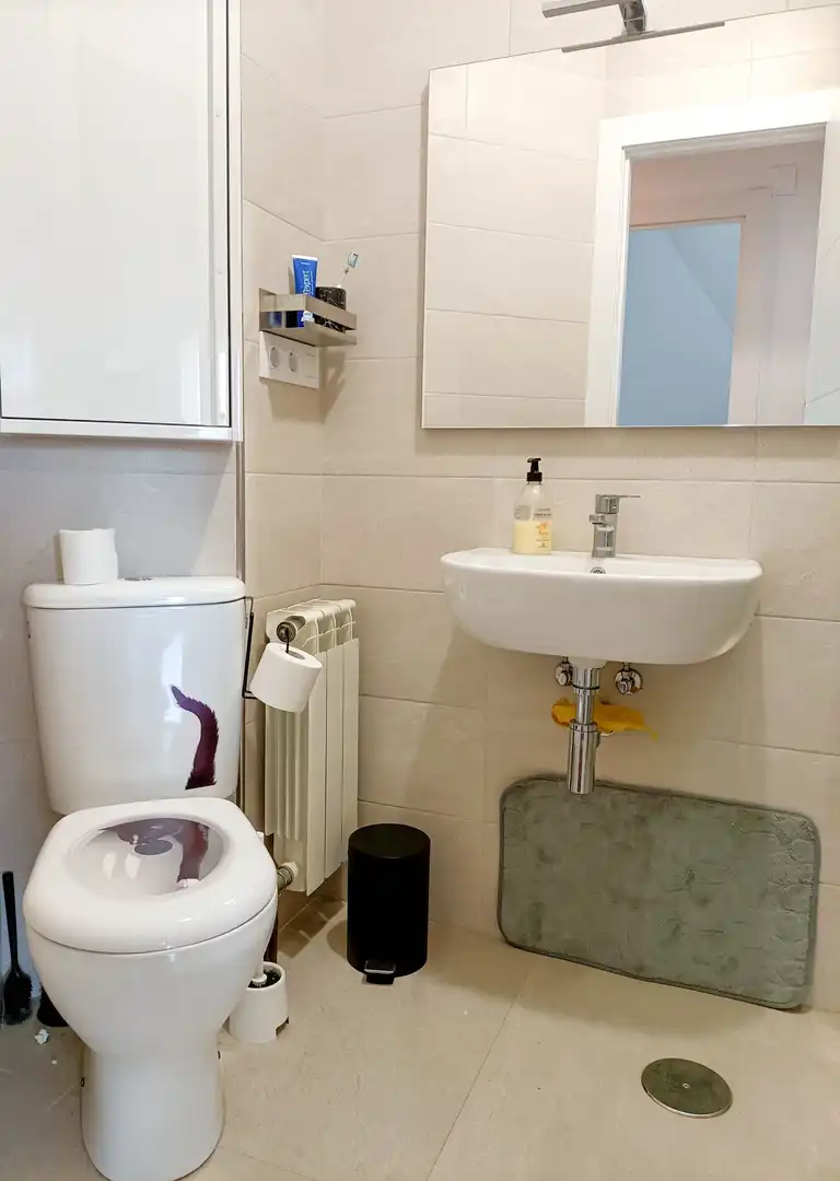 Baño de Dúplex de alquiler en Santa Cruz de Bezana con Calefacción, Terraza y Amueblado