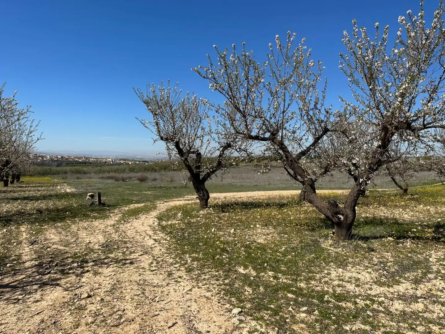 Terreno rustico in vendita a Dílar, imagen 10