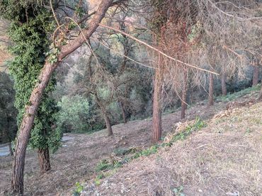 Terreno residencial en venta en Carrer de la Mola 2