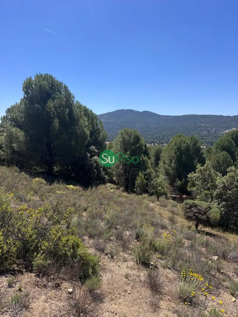 Casa o xalet en venda en San Martín de Valdeiglesias amb Jardí privat