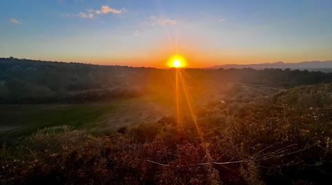 Photo 4 of House or chalet for sale in Carrer de Son Gual Ii-r, 28, Son Gual, Illes Balears