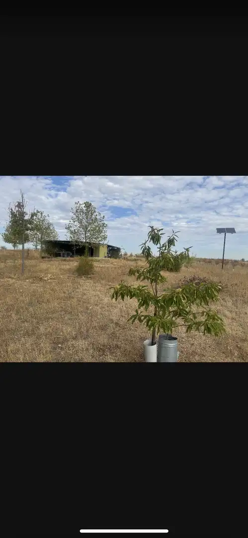 Terreno en venta en Bargas