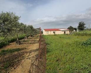 Land for sale in Puerto Real