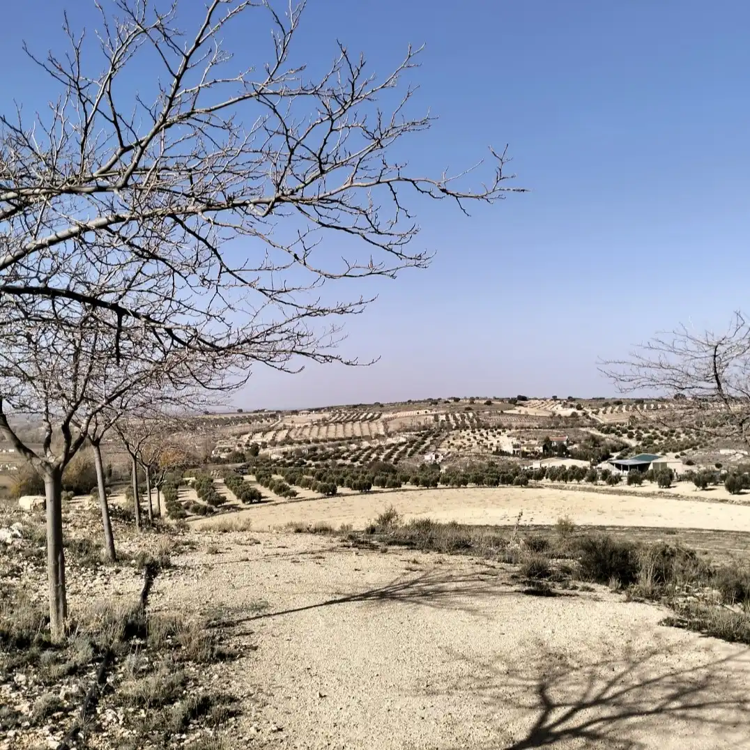 Residencial en venta en Munera