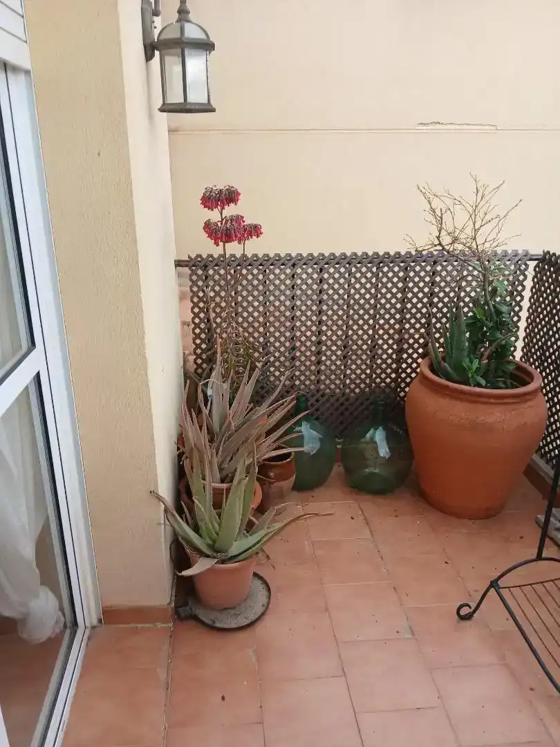 Terraza de Casa o chalet en venta en Vera con Balcón