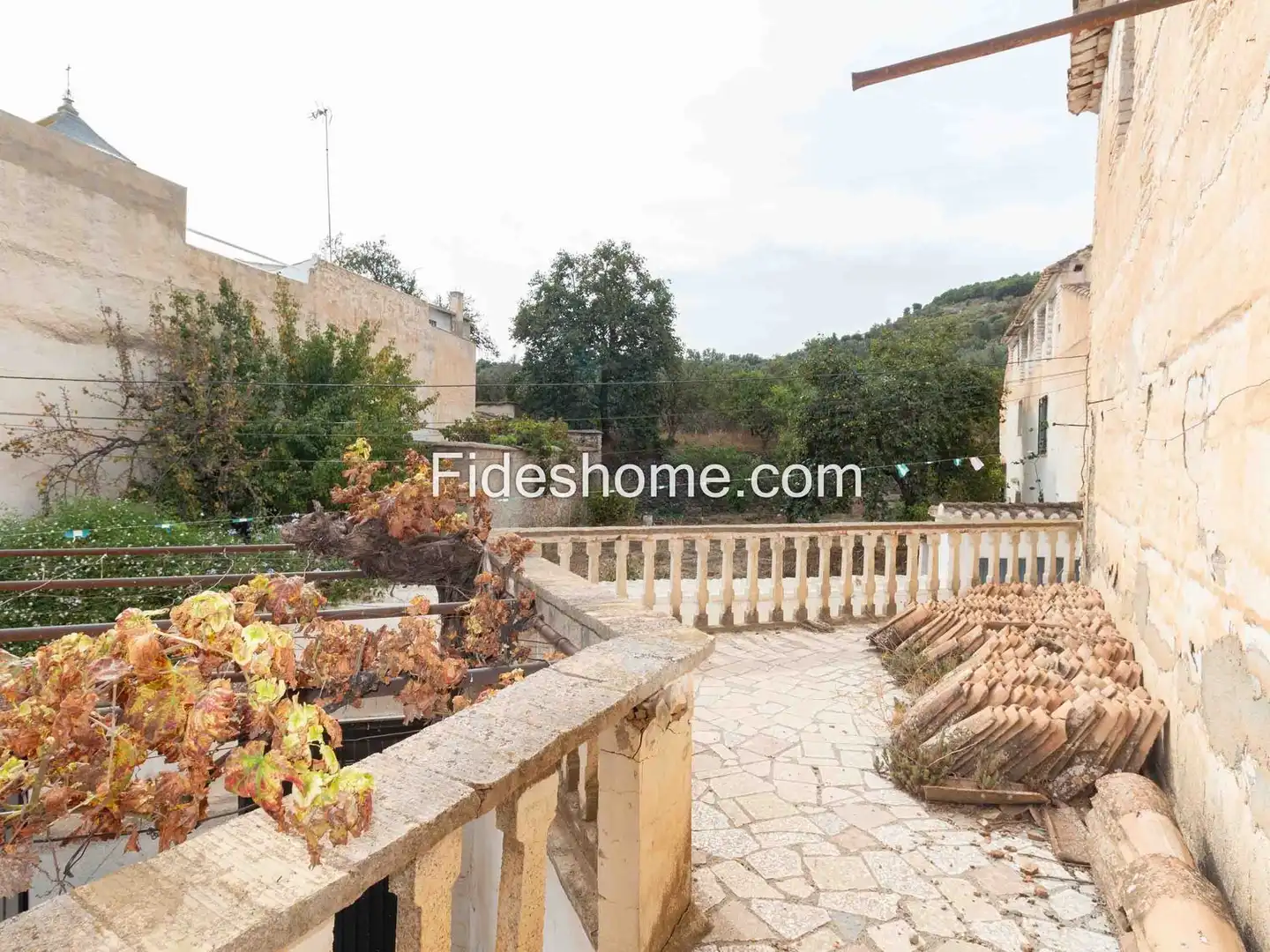 Casa rustica in vendita a CL SAN ROQUE (PI) 15, imagen 17