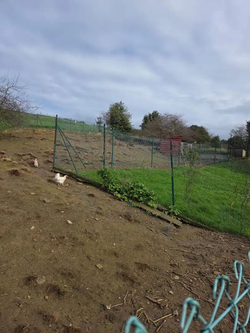 Terreno en venta en Carreño