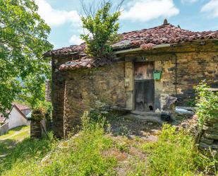 Vista exterior de Casa o xalet en venda en Tineo amb Terrassa