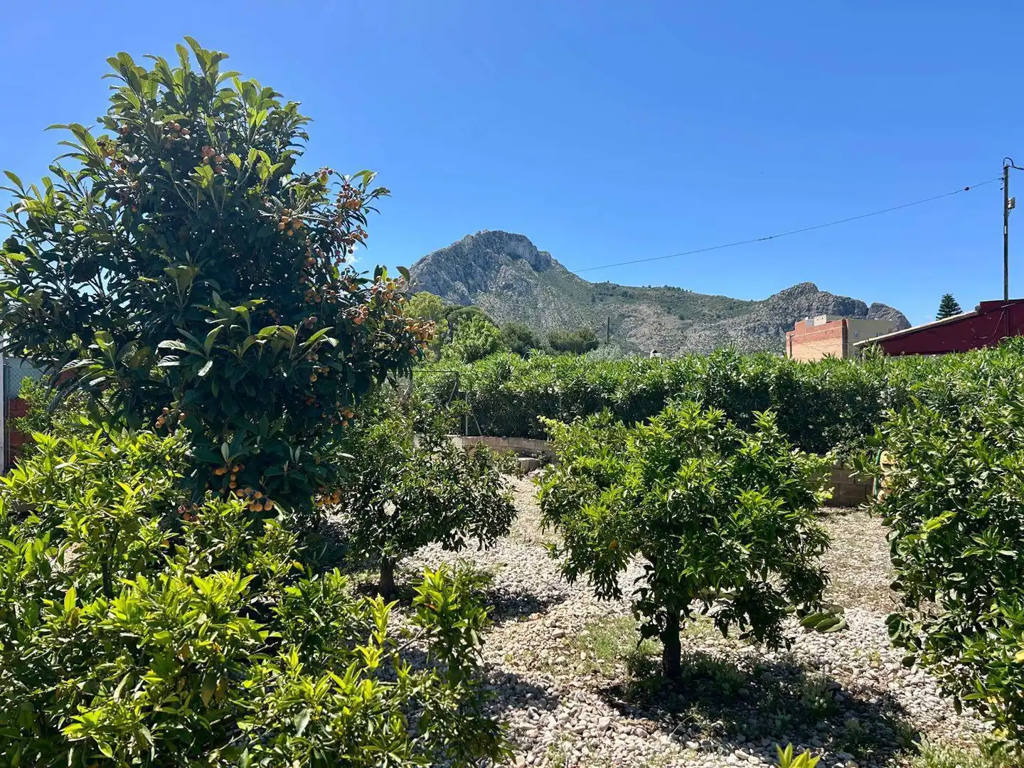 Casa rústica con jardín en venta en El Verger, imagen 39