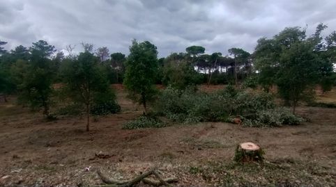 PARCELA DE 1006M2 EN URB.KING PARK DE SILS, immagine 5