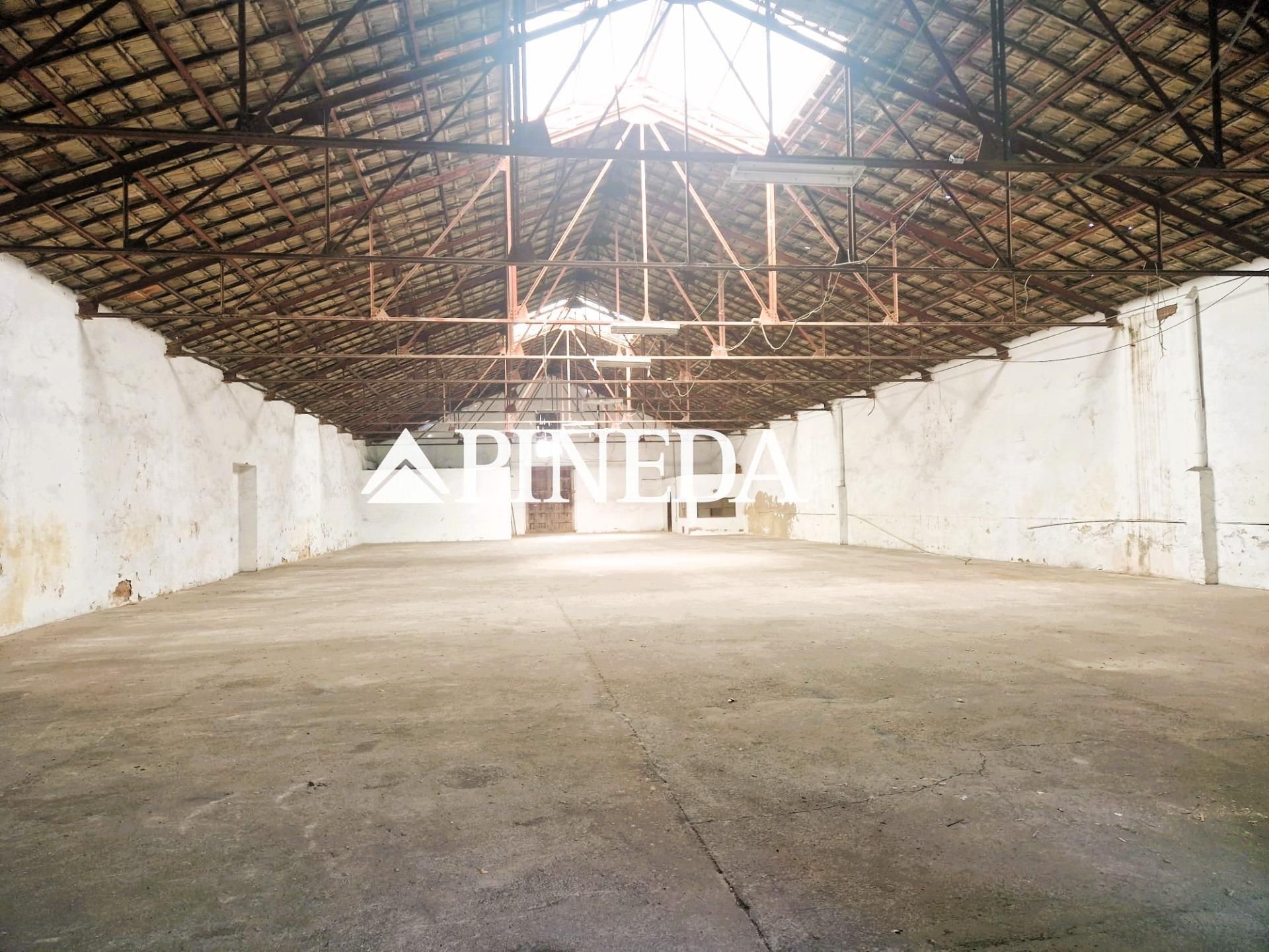 Industrial buildings for sale in Calle PUZOL, Zona Estación
