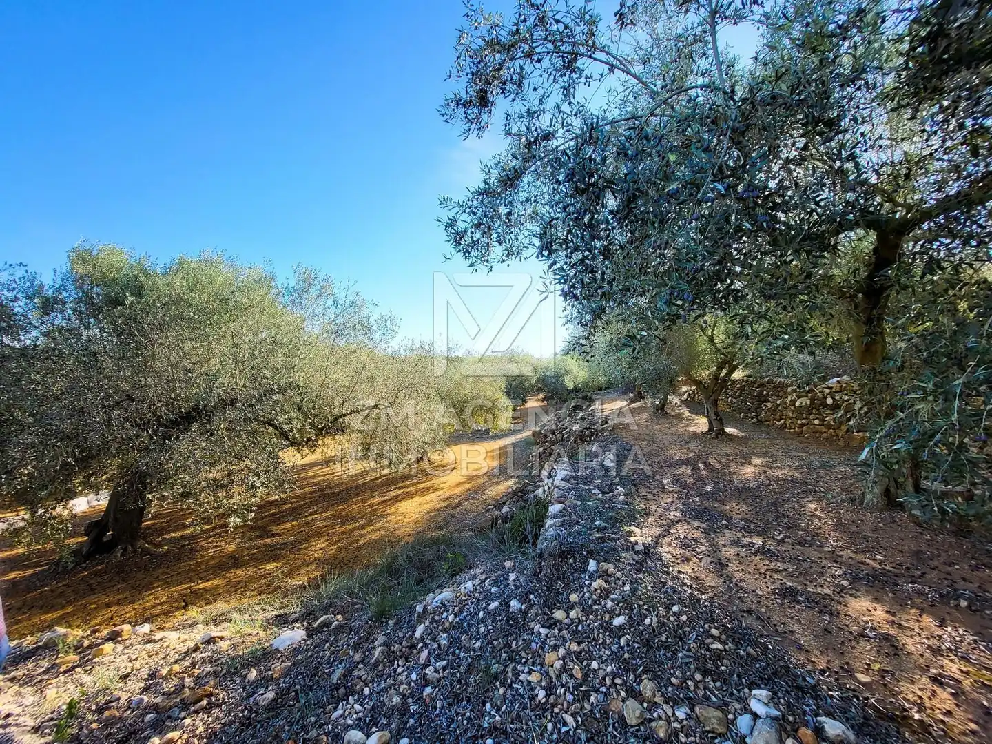 Casa rústica en venta en Traiguera, imagen 9