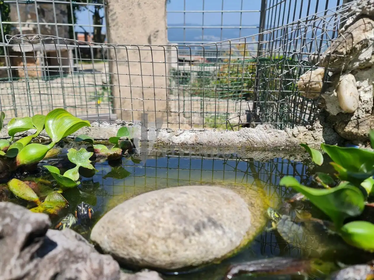 Jardín de Casa o chalet en venta en Redondela con Calefacción, Jardín privado y Terraza