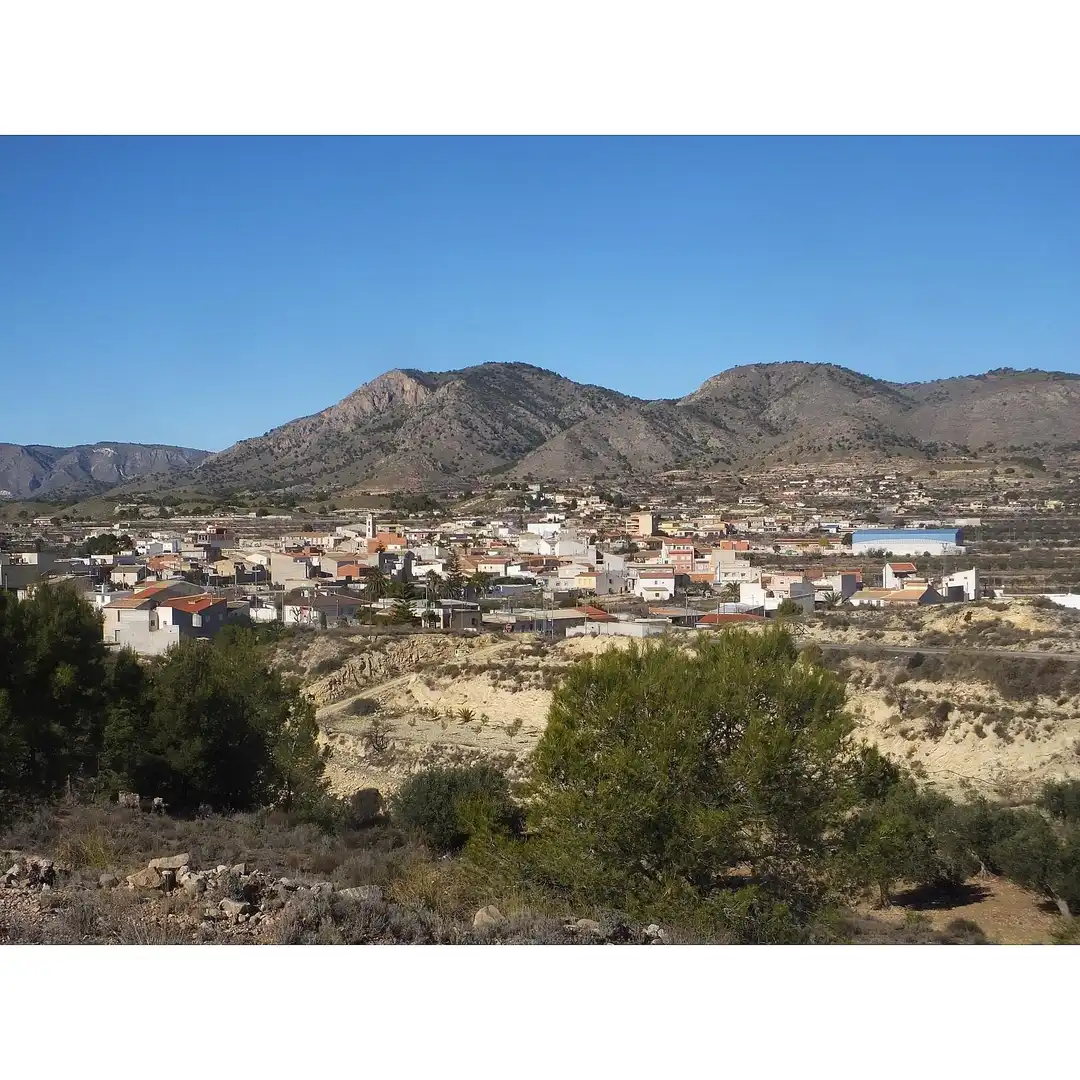 Lands and plots for sale in Abanilla, imagen 3