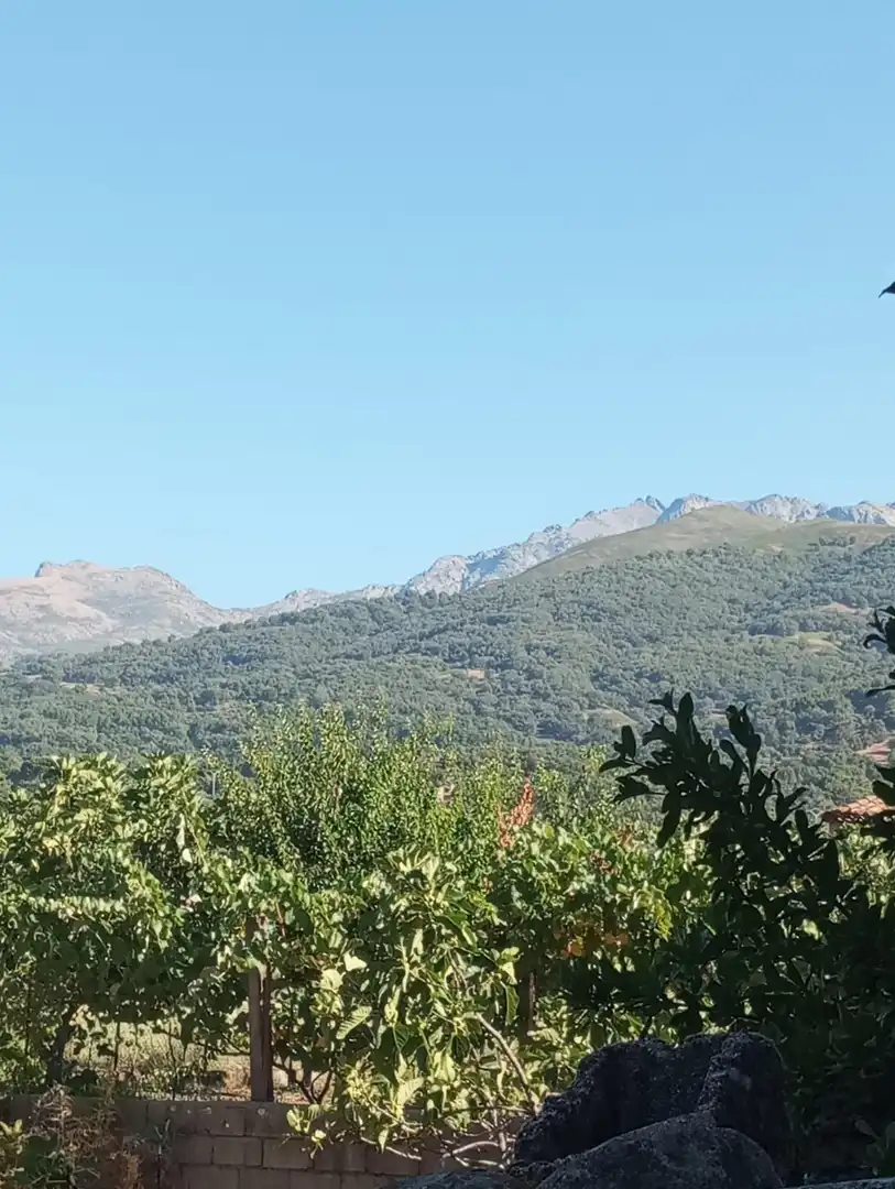 Terreni e lotti in vendita a Candeleda, imagen 15