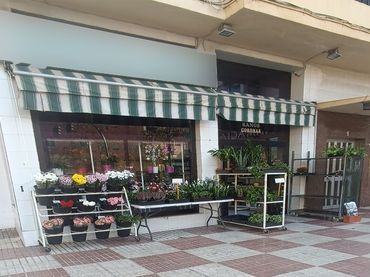 Local comercial en venda a Marbella Centro