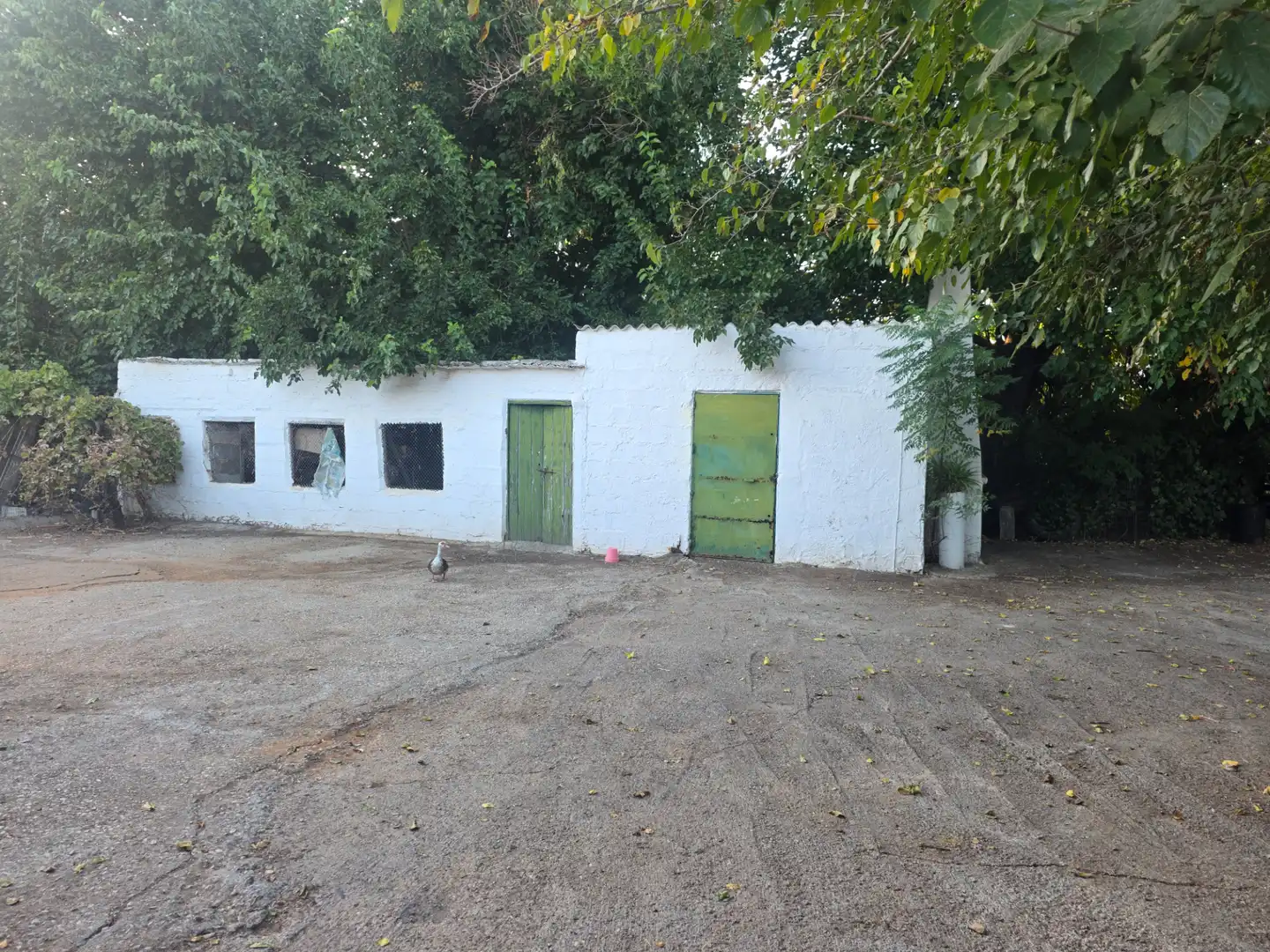 Terreno rustico in vendita a Calle Boscán