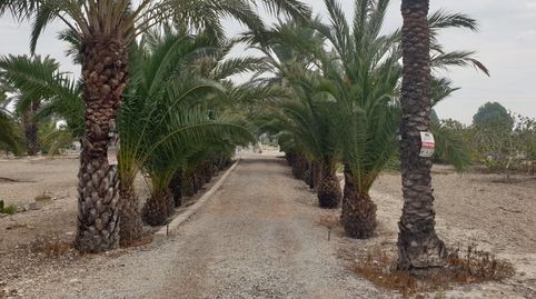Foto 5 de Casa o xalet en venda a Carretera Virgen del Camino, 5, Granja de Rocamora, Alicante