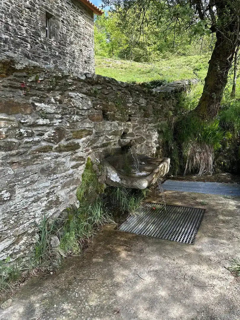 Jardí de Finca rústica en venda en Forcarei