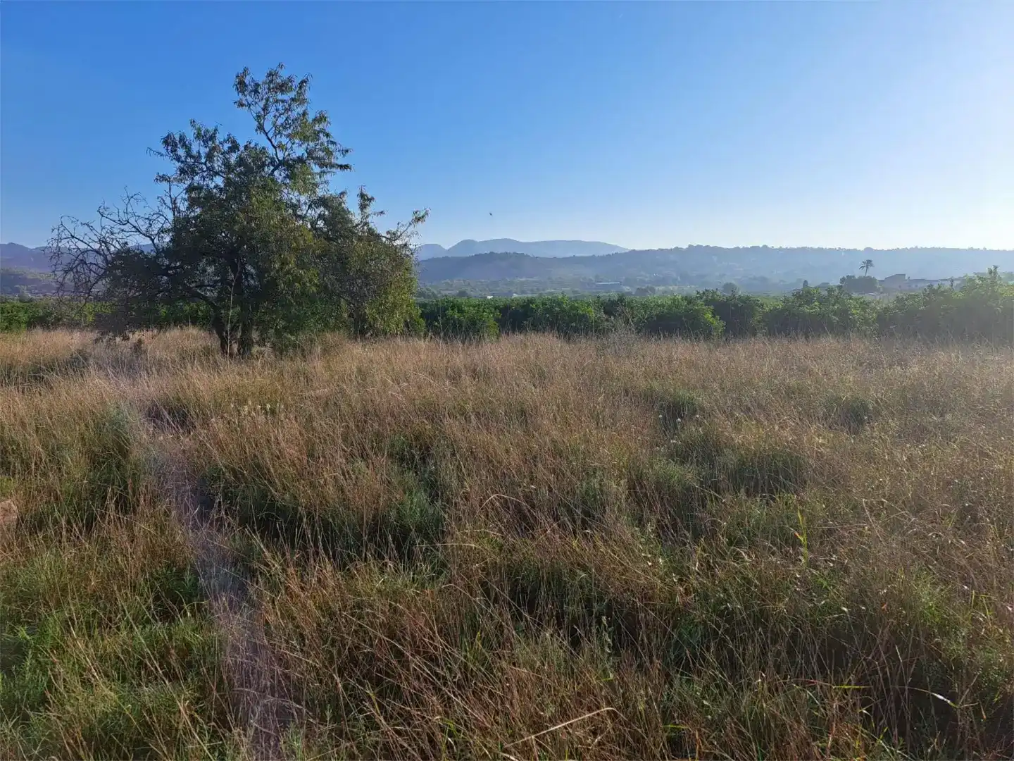 Land for sale in Marines