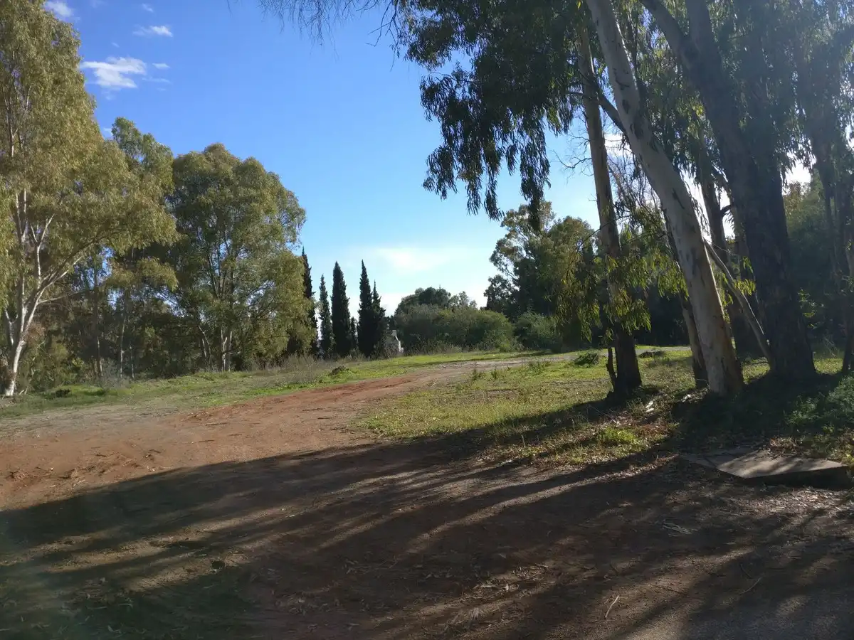 Terreny residencial en venda a Fuente del Espanto 36, imagen 4