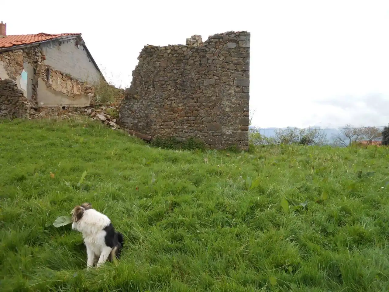 Terreno rustico in vendita a Karrantza Harana/Valle de Carranza, imagen 6